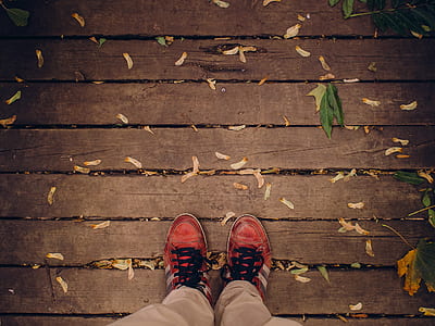 person wearing pair of red sneakers thumbnail