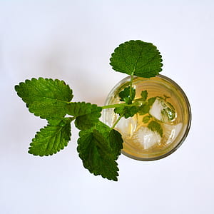 green leaf on top of clear drinking glass thumbnail