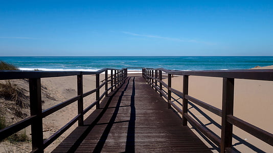 brown wooden dock on beach thumbnail