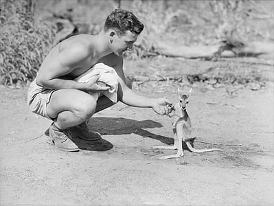 man sitting in front of kangaroo during daytime thumbnail
