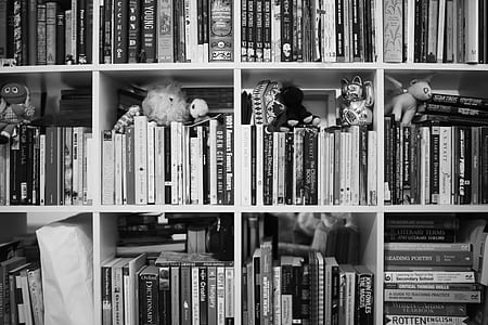 book lot thumbnail