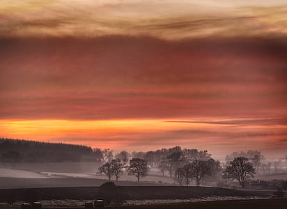 silhouette of trees at distance under orange cloudy sky during daytime thumbnail