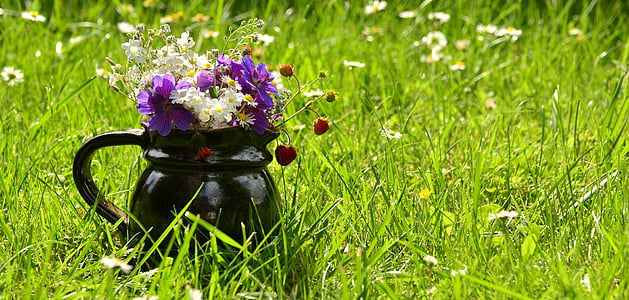 purple and white petaled flowers in black pitcher thumbnail