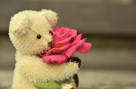 brown bear plush toy holding pink rose selective-focus photography thumbnail