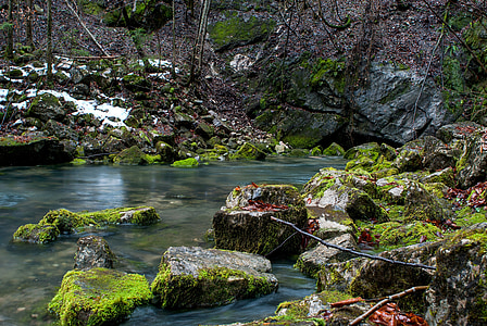 river beside stones and trees thumbnail