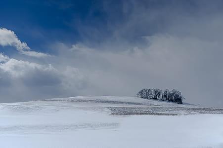 trees on glacier mountain under white and blue sky thumbnail