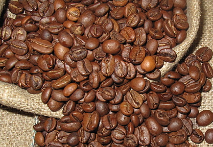 sack of coffee beans thumbnail