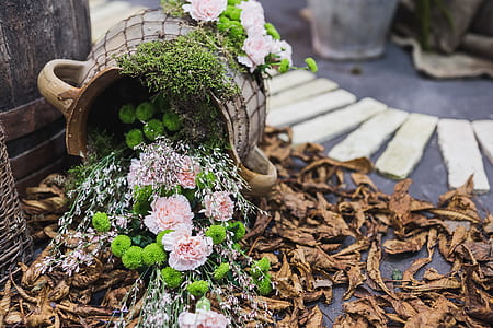 Pink Flowers In Grey Pot thumbnail