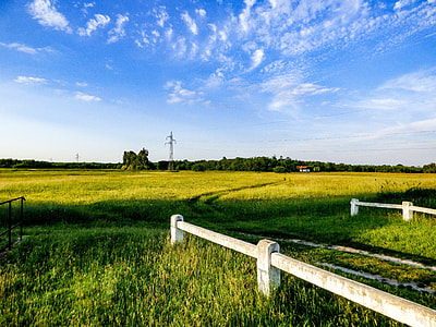 in distant gray utility post under blue sky thumbnail