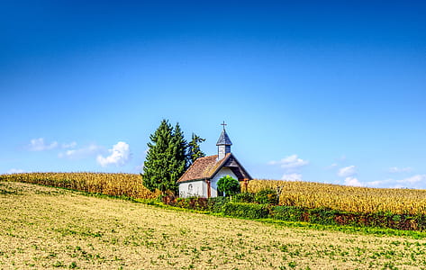 house near corn field thumbnail