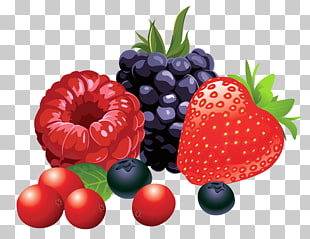 Berry Fruit , Forest Fruits , raspberry, strawberry, and blackberry fruits illustration PNG clipart