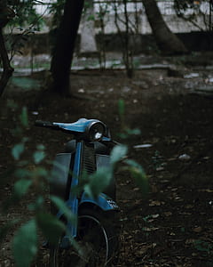 blue and white motor scooter on dried leaves thumbnail