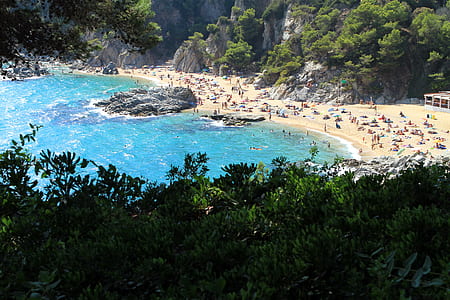 aerial photography of people on shore thumbnail
