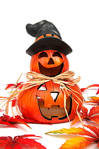 orange pumpkin thumbnail