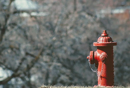 selective focus photo of firehydrant thumbnail