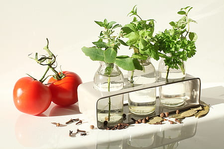 three green potted plants and tomato fruits thumbnail