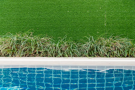 Green Grass Field thumbnail