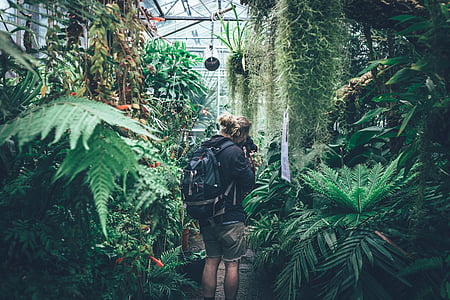 person in black jacket and black backpack holding DSLR camera and surrounding green leafed plants thumbnail