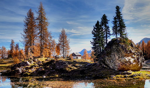 landscape photo of house between pine trees thumbnail