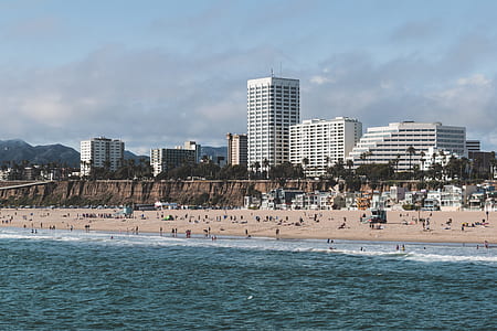 people walking on seashore at daytime thumbnail