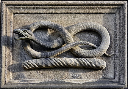 gray clay snake decor thumbnail