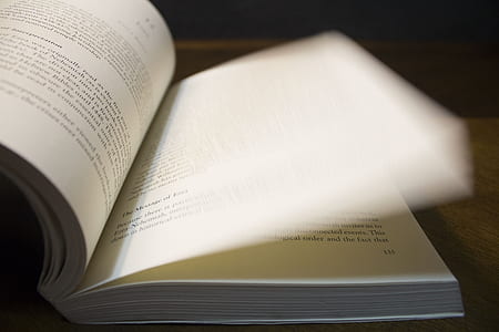 opened book thumbnail