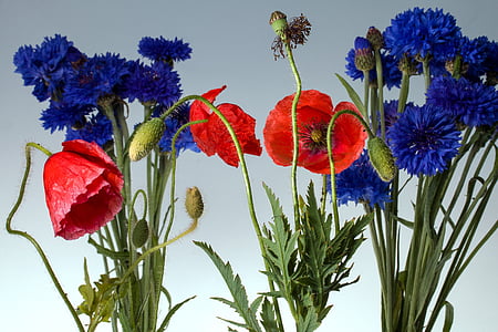 assorted flowers thumbnail