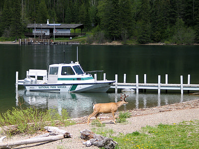 Boat at the dock at Goat Haunt, Glacier National Park, Montana thumbnail