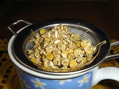 mushroom on strainer thumbnail