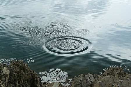 landscape photography of body of water thumbnail