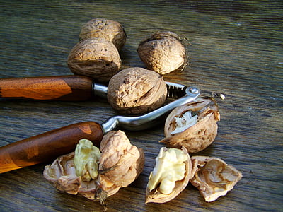 silver and brown nut cracker on brown wooden surface thumbnail