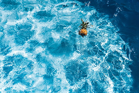 Pineapple in a swimming pool thumbnail
