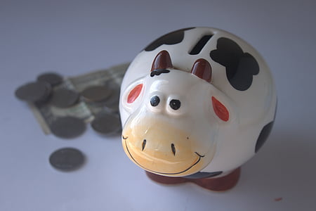 white, black, and brown cow ceramic coin bank near coins thumbnail