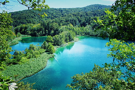 body of water and forest during daytime thumbnail