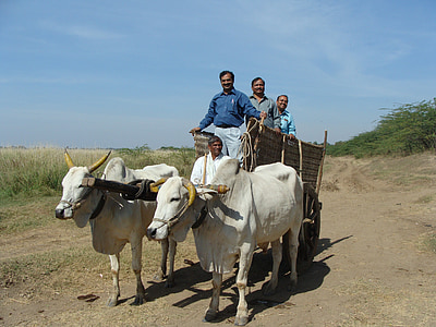 four men riding on carriage thumbnail