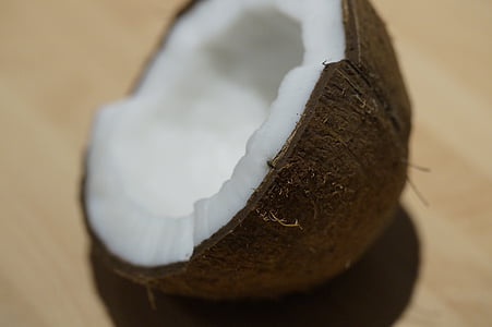 brown coconut shell thumbnail