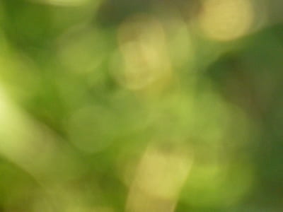 bokeh, blur, nature thumbnail