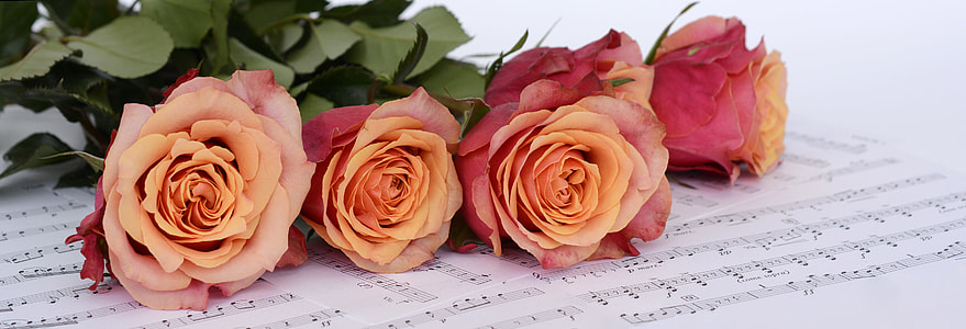 pink and white roses on note book thumbnail