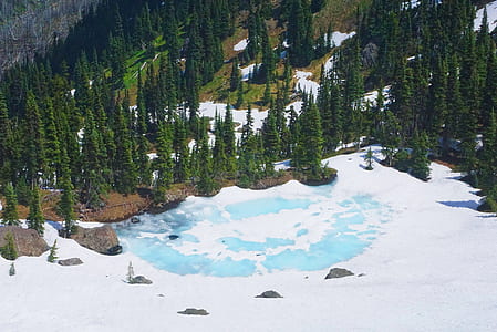 landscape photography of snow field with with green trees thumbnail