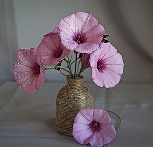 pink flowers on brown vase thumbnail