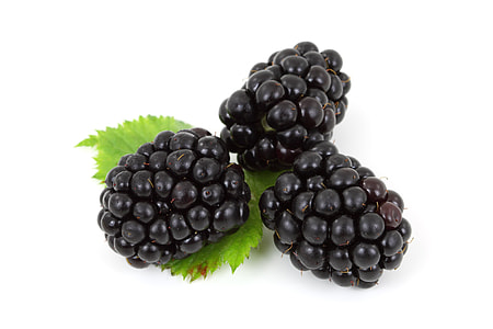 three blackberries closeup photo thumbnail