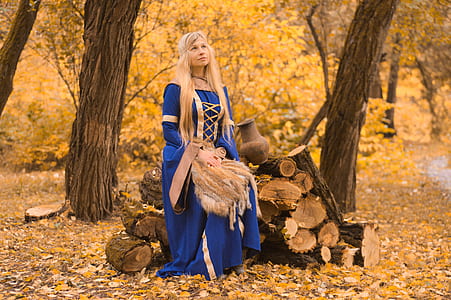 woman wearing blue and brown long-sleeved dress sitting on tree trunk in forest thumbnail