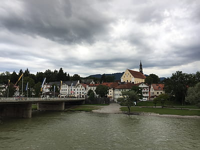 green leafed tree near the river thumbnail