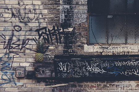 city, graffiti, dirty, building thumbnail