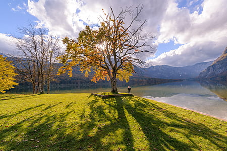 landscape, nature, sky, person thumbnail