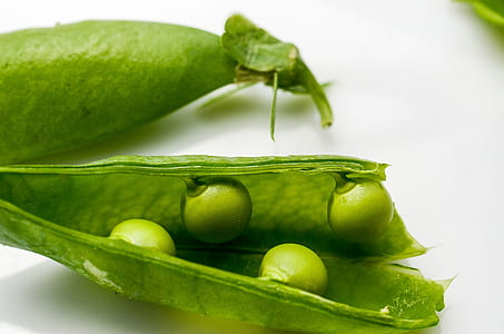 green peas inside pod thumbnail