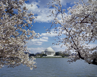 Jefferson Memorial, Landmark thumbnail