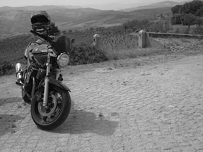 black-and-white, road, nature, street thumbnail
