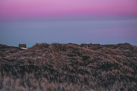landscape photo of grasses covering land formation thumbnail