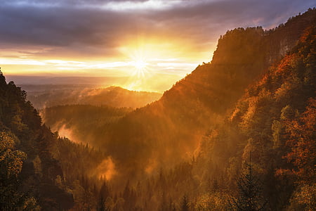 aerial photo of trees during golden hour thumbnail